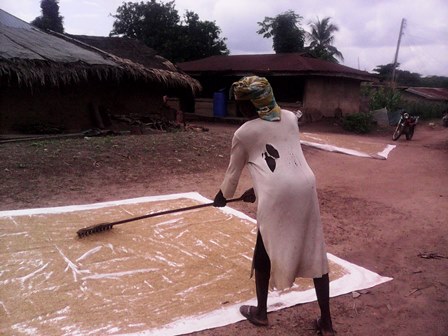 Rice farmer sun-drying her harvested rice at Ugbene