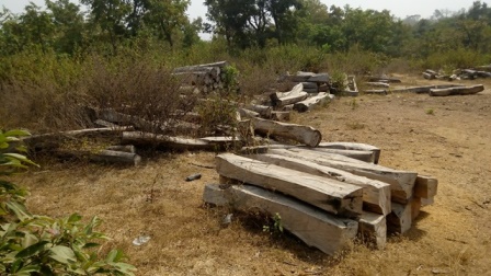 Abandoned dried up rosewood logs in Mopa Moro, Kogi State